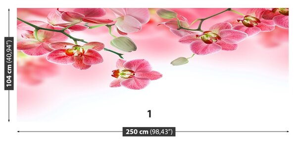 Carta da parati Orchidee tropicali 104x70 cm