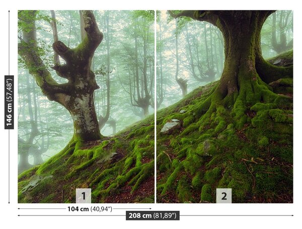 Carta da parati Foresta di faggio 104x70 cm
