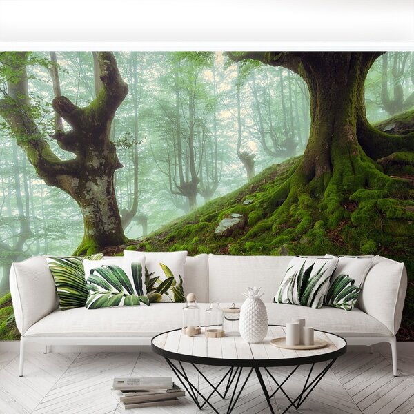 Carta da parati Foresta di faggio 104x70 cm