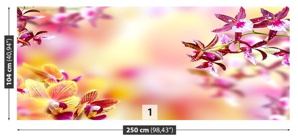 Carta da parati Orchidea rosa 104x70 cm