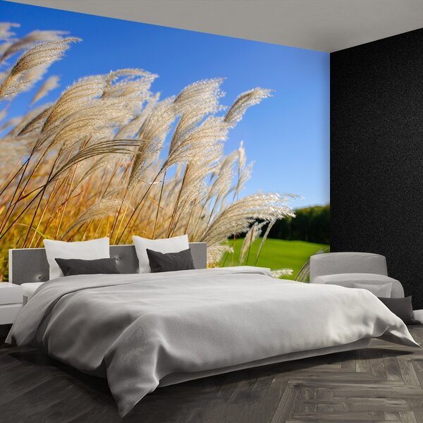 Carta da parati Canna blu 104x70 cm