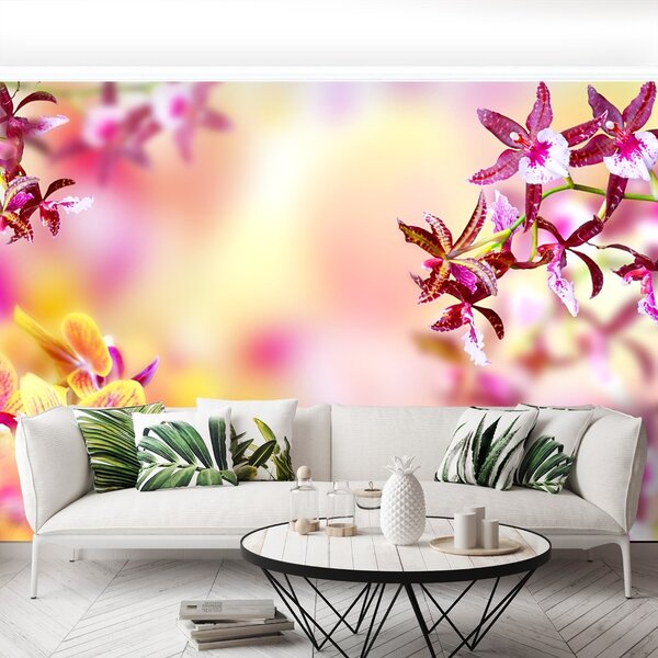 Carta da parati Orchidea rosa 104x70 cm