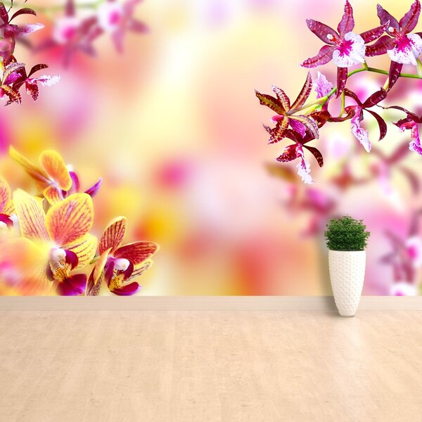 Carta da parati Orchidea rosa 104x70 cm
