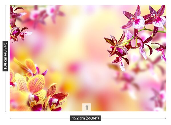 Carta da parati Orchidea rosa 104x70 cm