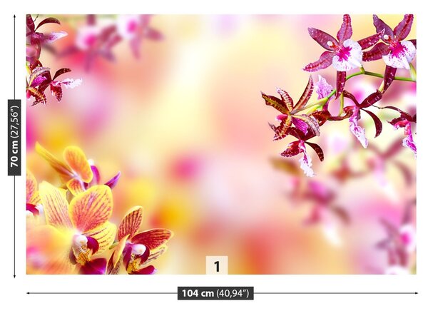 Carta da parati Orchidea rosa 104x70 cm