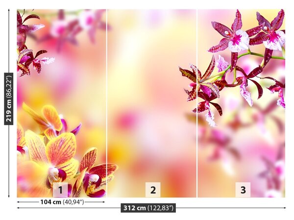 Carta da parati Orchidea rosa 104x70 cm