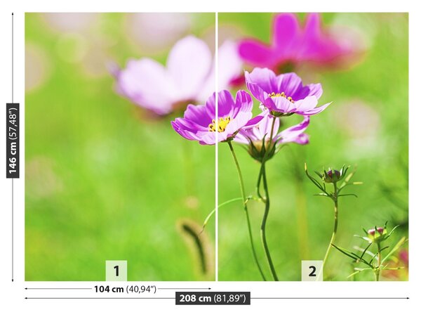 Carta da parati Spazio viola 104x70 cm