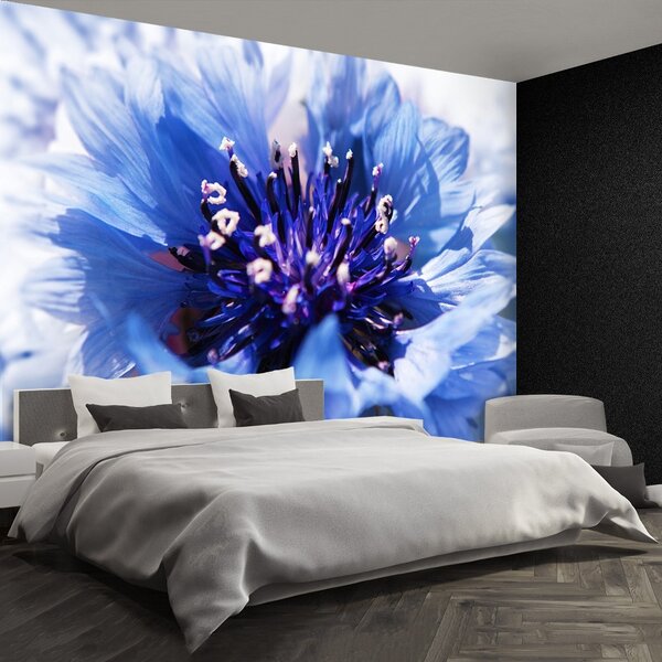 Carta da parati Flusso di mais blu 104x70 cm