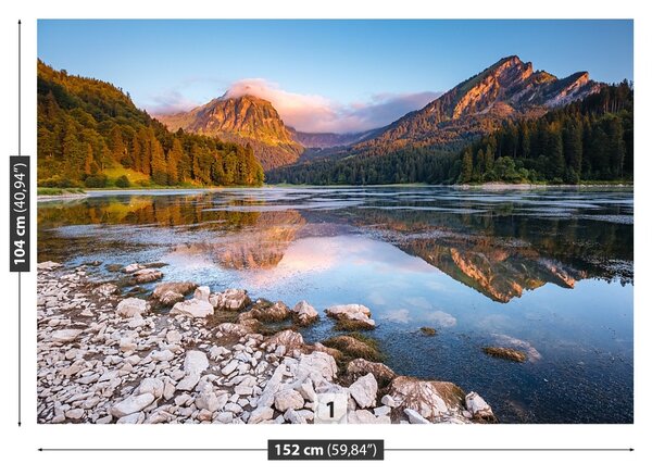 Carta da parati Alpi svizzere 104x70 cm