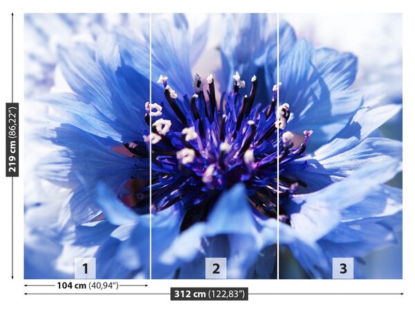 Carta da parati Flusso di mais blu 104x70 cm