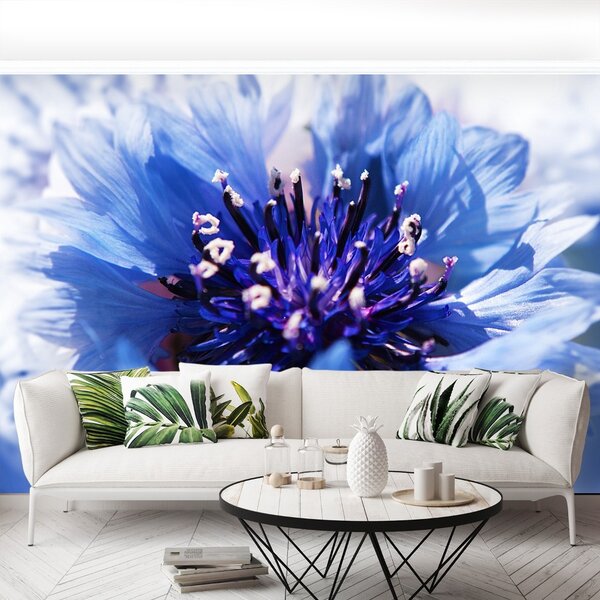 Carta da parati Flusso di mais blu 104x70 cm