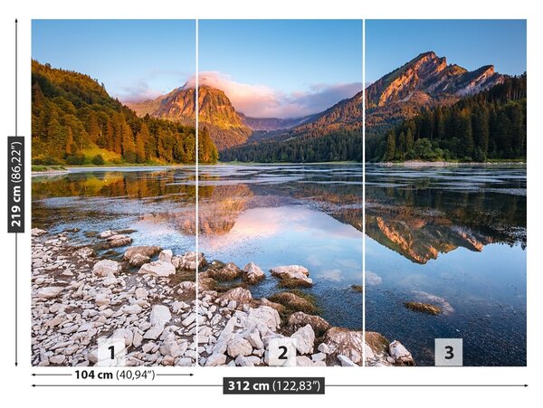 Carta da parati Alpi svizzere 104x70 cm