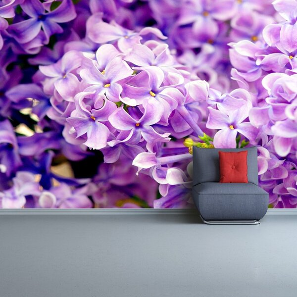 Carta da parati Fiori viola 104x70 cm