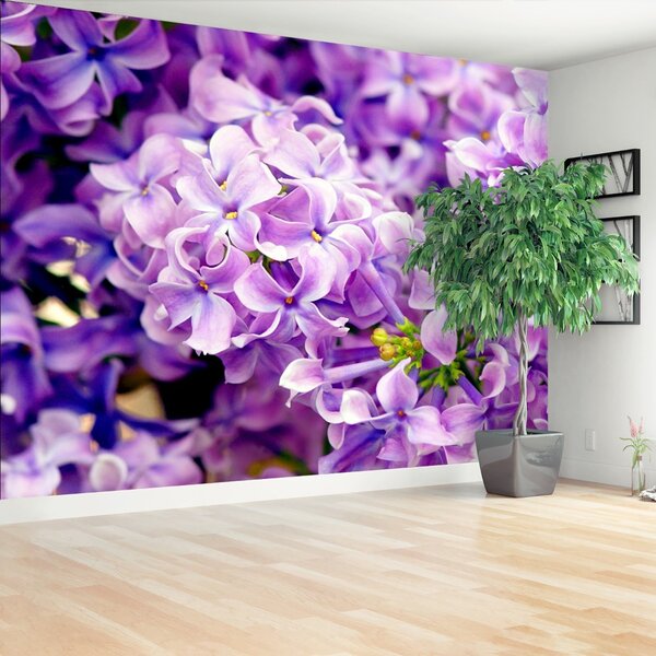 Carta da parati Fiori viola 104x70 cm