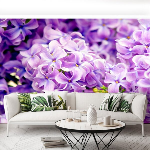 Carta da parati Fiori viola 104x70 cm