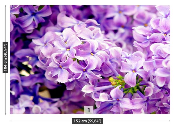 Carta da parati Fiori viola 104x70 cm