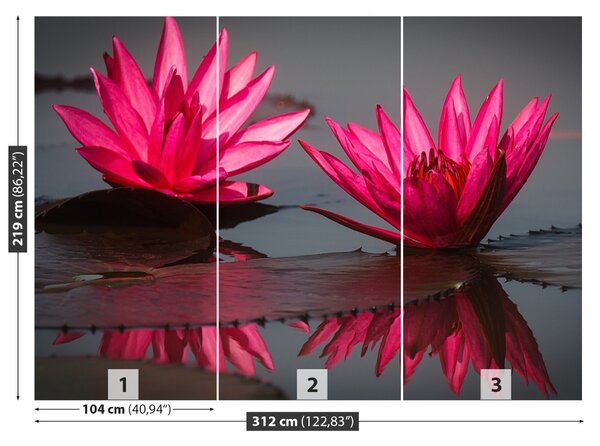 Carta da parati Gigli di acqua rosa 104x70 cm