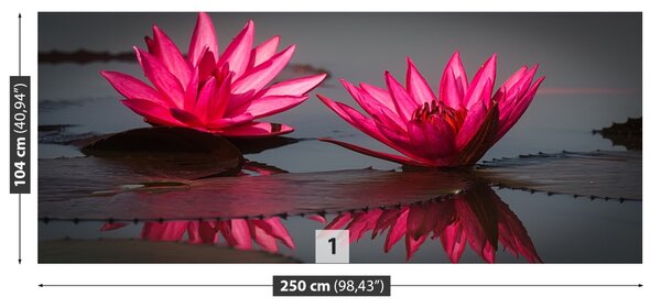 Carta da parati Gigli di acqua rosa 104x70 cm