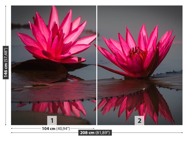 Carta da parati Gigli di acqua rosa 104x70 cm