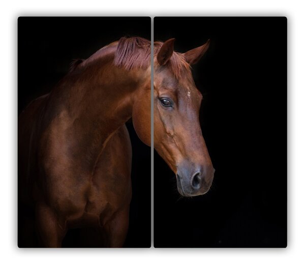 Tagliere in vetro Cavallo marrone 60x52 cm
