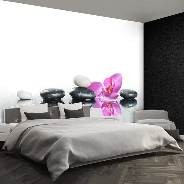 Carta da parati Pietre spa 104x70 cm