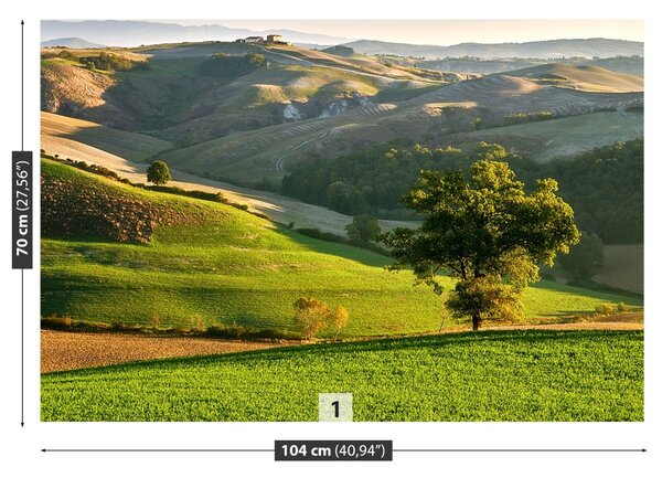 Carta da parati Toscana 104x70 cm