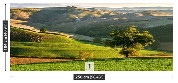 Carta da parati Toscana 104x70 cm