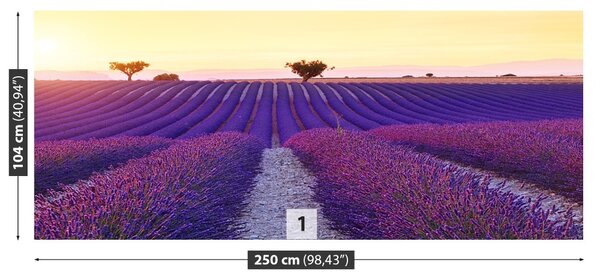 Carta da parati Campi di lavanda 104x70 cm