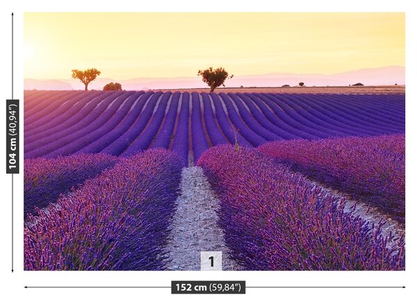 Carta da parati Campi di lavanda 104x70 cm