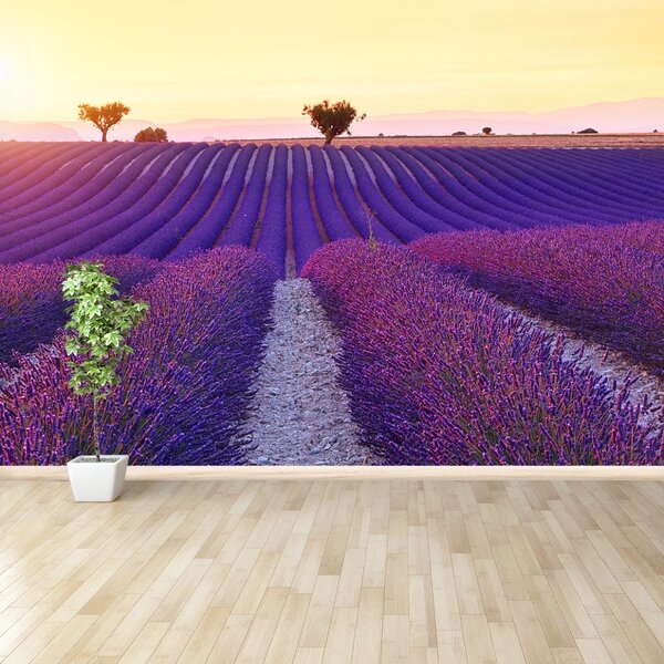 Carta da parati Campi di lavanda 104x70 cm