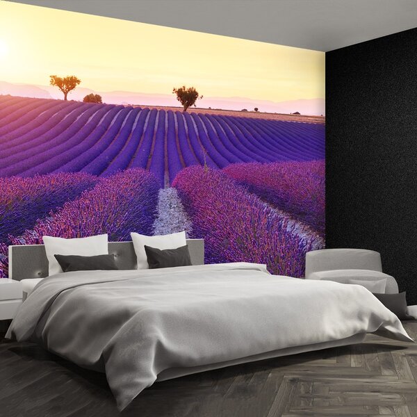 Carta da parati Campi di lavanda 104x70 cm