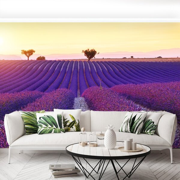 Carta da parati Campi di lavanda 104x70 cm