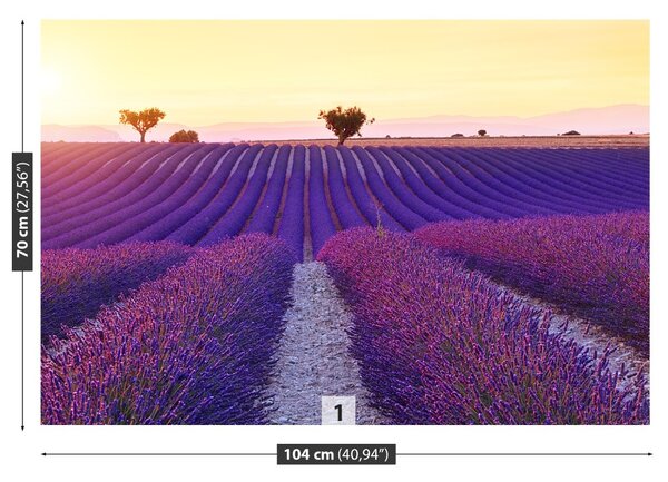 Carta da parati Campi di lavanda 104x70 cm