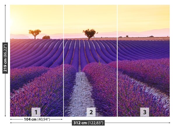 Carta da parati Campi di lavanda 104x70 cm