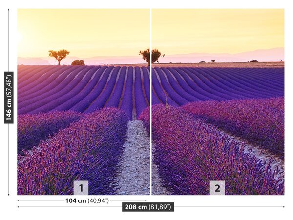 Carta da parati Campi di lavanda 104x70 cm