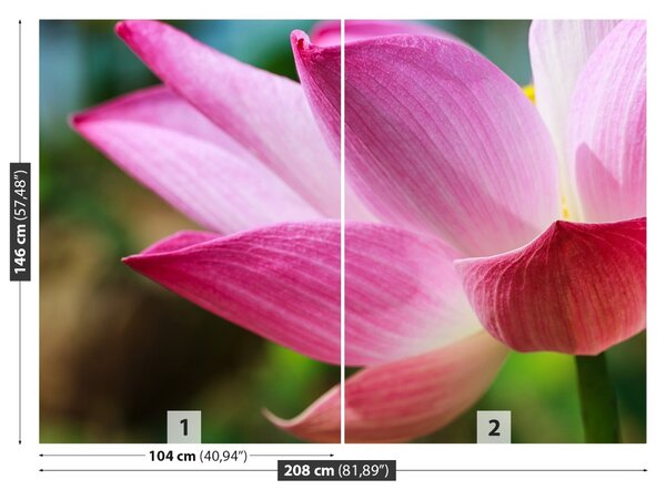 Carta da parati Loto rosa 104x70 cm
