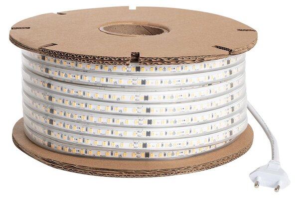 Striscia LED in bobina Dimmerabile 220V SMD Autoriduzione 120 LED/m 50m 10W/m 1000lm/m Larghezza 12mm Taglio 10cm IP65 2200K Superwarm