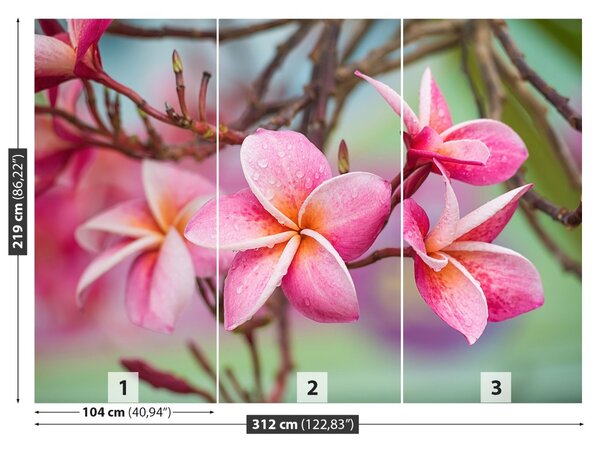 Carta da parati Frangipani Pink 104x70 cm