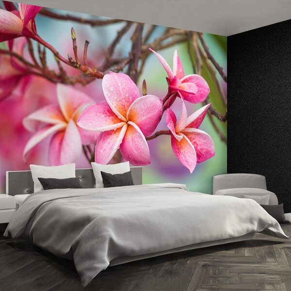 Carta da parati Frangipani Pink 104x70 cm