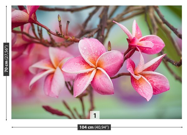 Carta da parati Frangipani Pink 104x70 cm