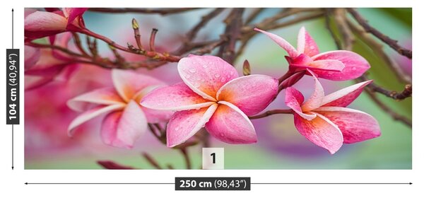 Carta da parati Frangipani Pink 104x70 cm
