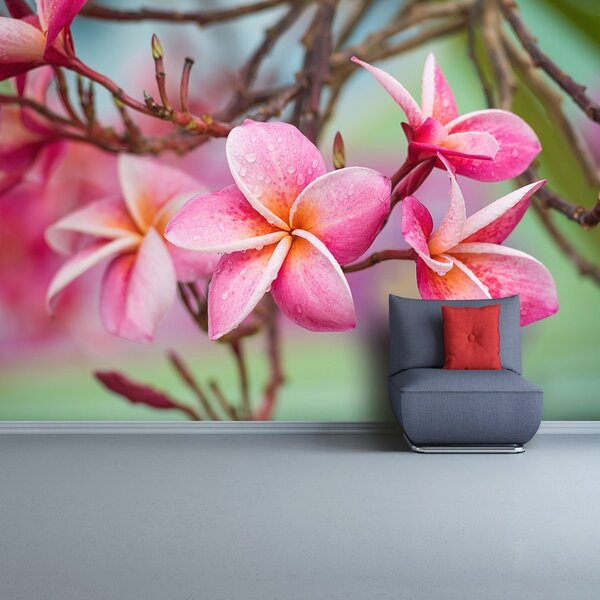 Carta da parati Frangipani Pink 104x70 cm