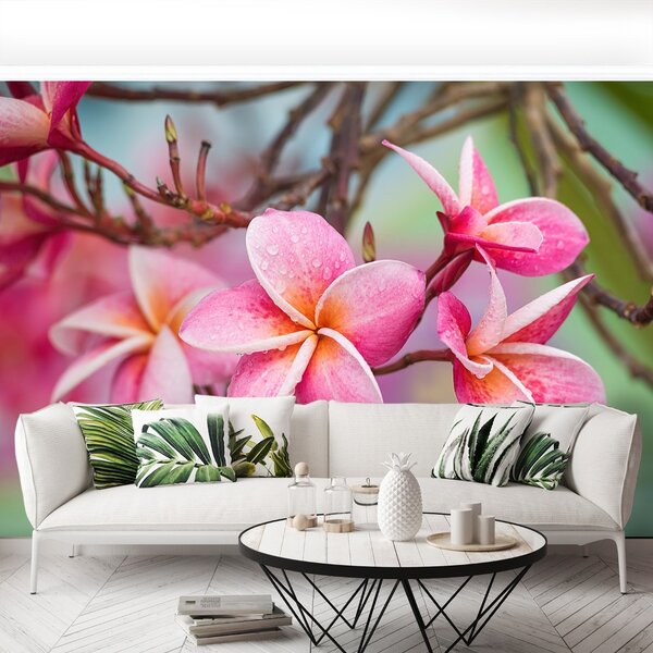 Carta da parati Frangipani Pink 104x70 cm