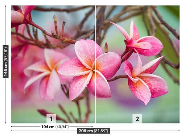 Carta da parati Frangipani Pink 104x70 cm