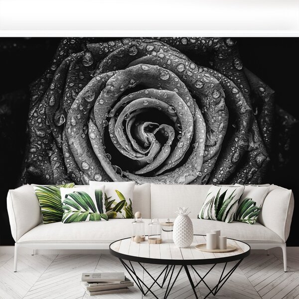 Carta da parati Rosa nera 104x70 cm