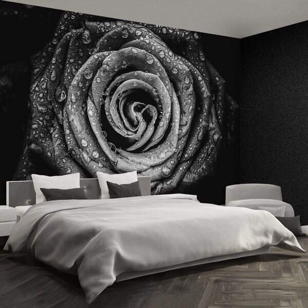 Carta da parati Rosa nera 104x70 cm
