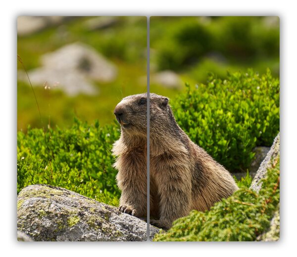 Tagliere in vetro temperato Tatra Marmot 60x52 cm