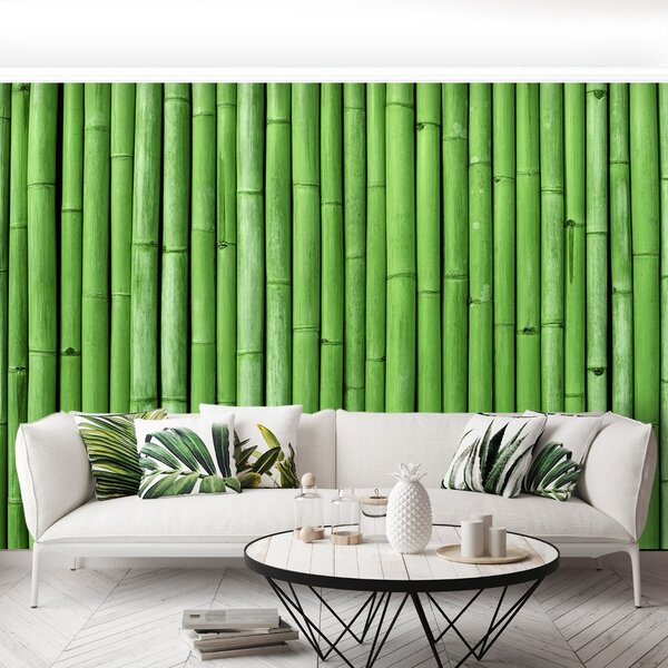 Carta da parati Bamboo verde 104x70 cm