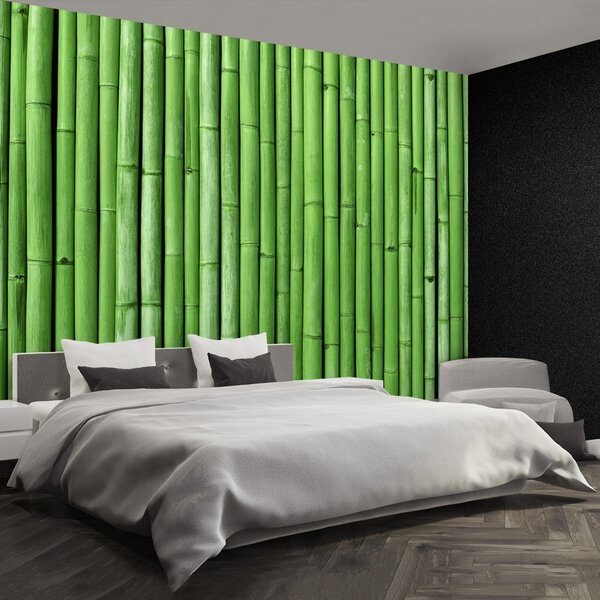 Carta da parati Bamboo verde 104x70 cm