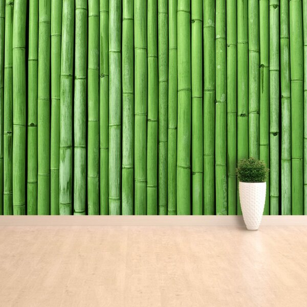 Carta da parati Bamboo verde 104x70 cm
